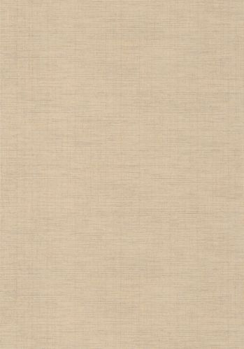 Papier  Peint Tissage Casadeco