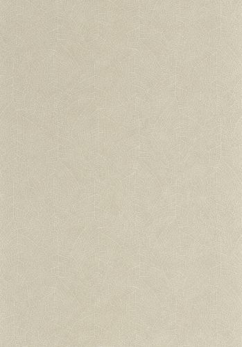 Papier  Peint Nola Casadeco