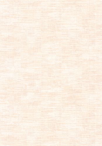 Papier  Peint Uni  Mat Caselio