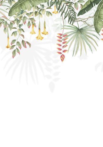 Echantillon Papier Peint Bird Of Paradise Casadeco