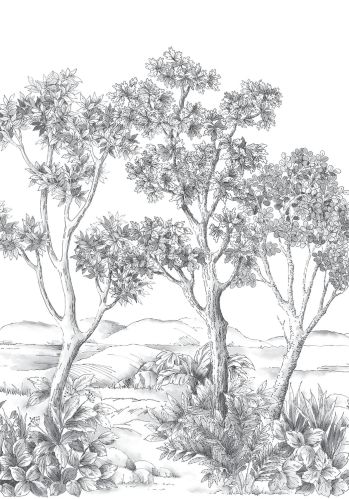 Panoramique Terre D'acacias Intisse 200x250 Casadeco