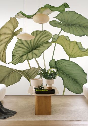 Panoramique Alocasia Intisse 350x280 Casadeco