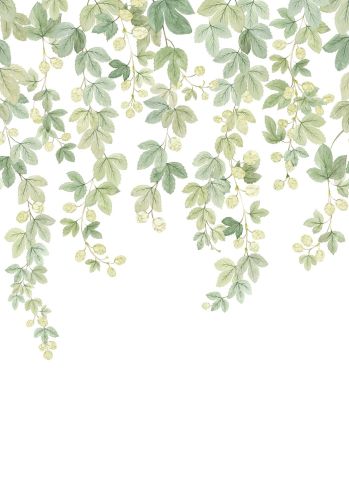 Panoramique Fruit Du Houblon Vinyle 200x280 Casadeco
