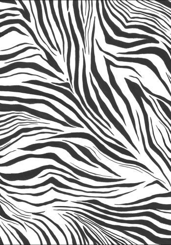 Echantillon Papier Peint Zebra Caselio
