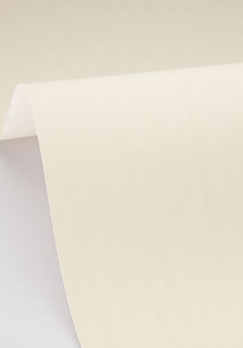 Papier  Peint Uni Lignosa Caselio