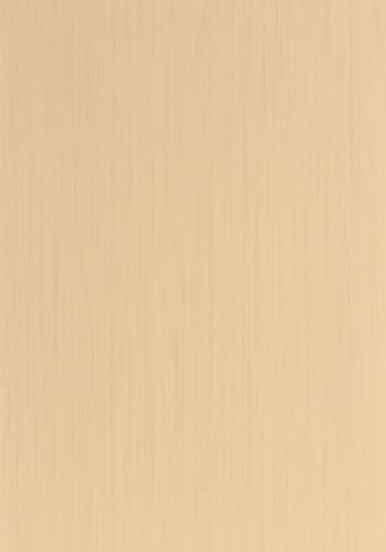 Papier  Peint Uni Lignosa Caselio