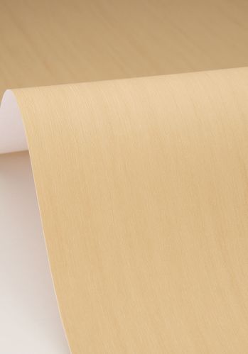 Papier  Peint Uni Lignosa Caselio