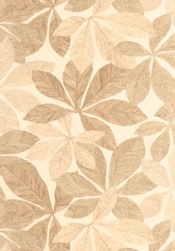 Echantillon Papier Peint Lignaria Caselio