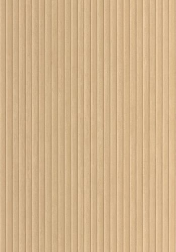 Papier  Peint Boisea Caselio