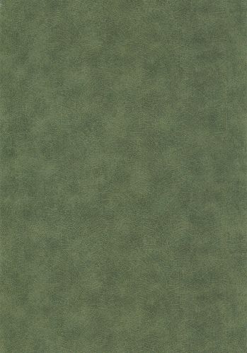 Papier  Peint Woods Nervure Casadeco
