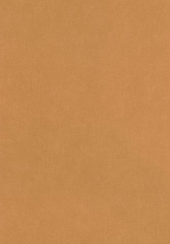 Papier  Peint Uni Caselio
