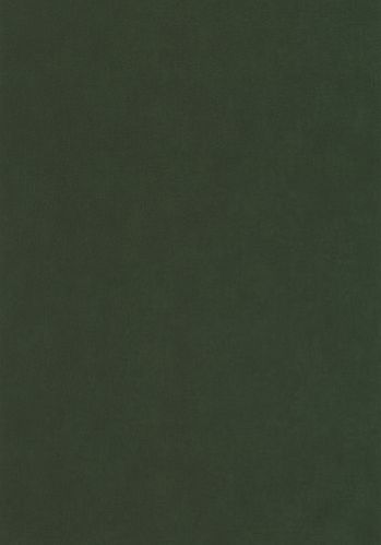 Papier  Peint Uni Caselio