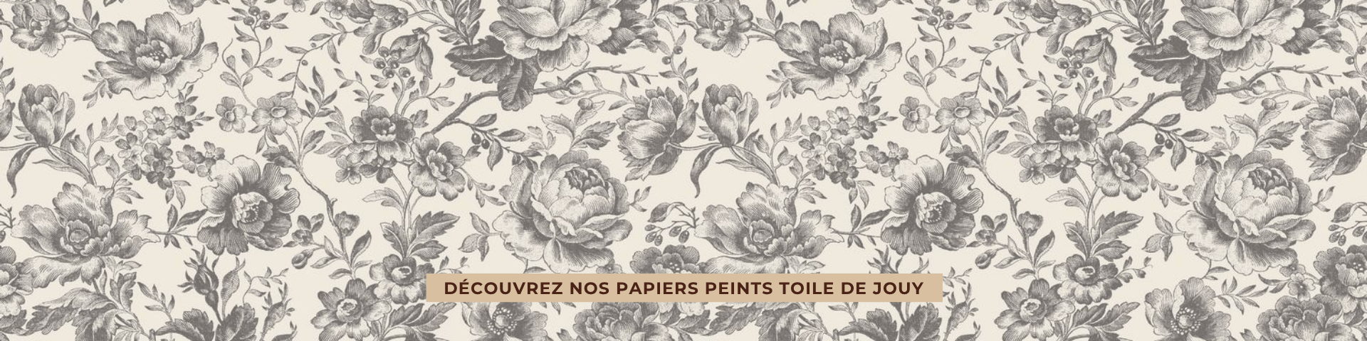 Bannière We Wall papier peint rayures